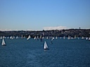 Sailing in Sydney Harbor