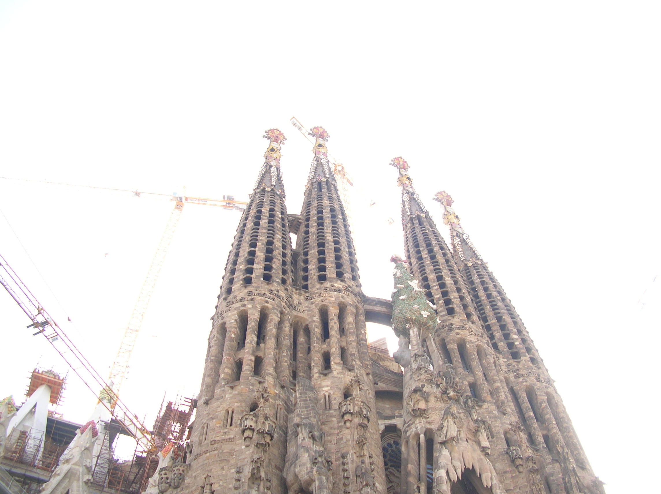 DSCN0003