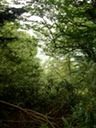 DSCN1046