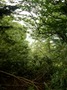DSCN1046