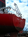 DSCN1113
