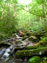 DSCN1140