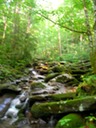 DSCN1140