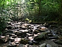 DSCN1370