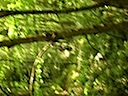 DSCN1381