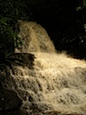 DSCN1395