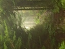 DSCN1402