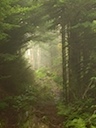 DSCN1403
