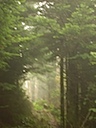DSCN1404