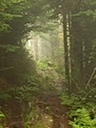 DSCN1405
