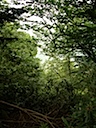 DSCN1406
