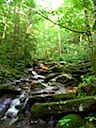 DSCN1410