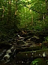 DSCN1411