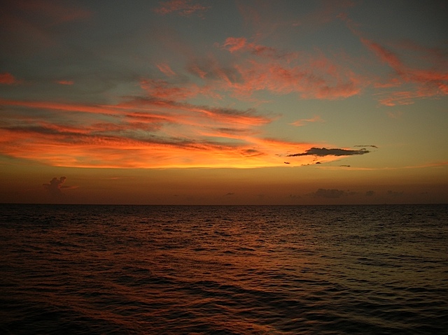DSCN1810