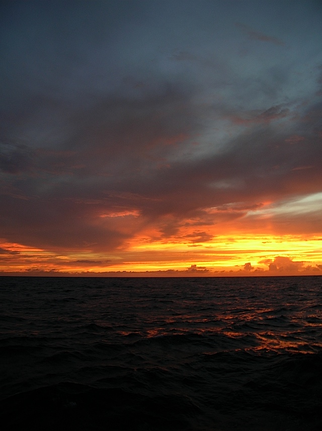 DSCN1854