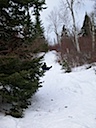 Weeeee!