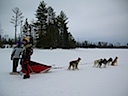 Dog sledding