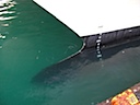 Bulbous Bow