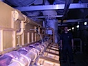 Me and my engine