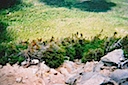 Valley